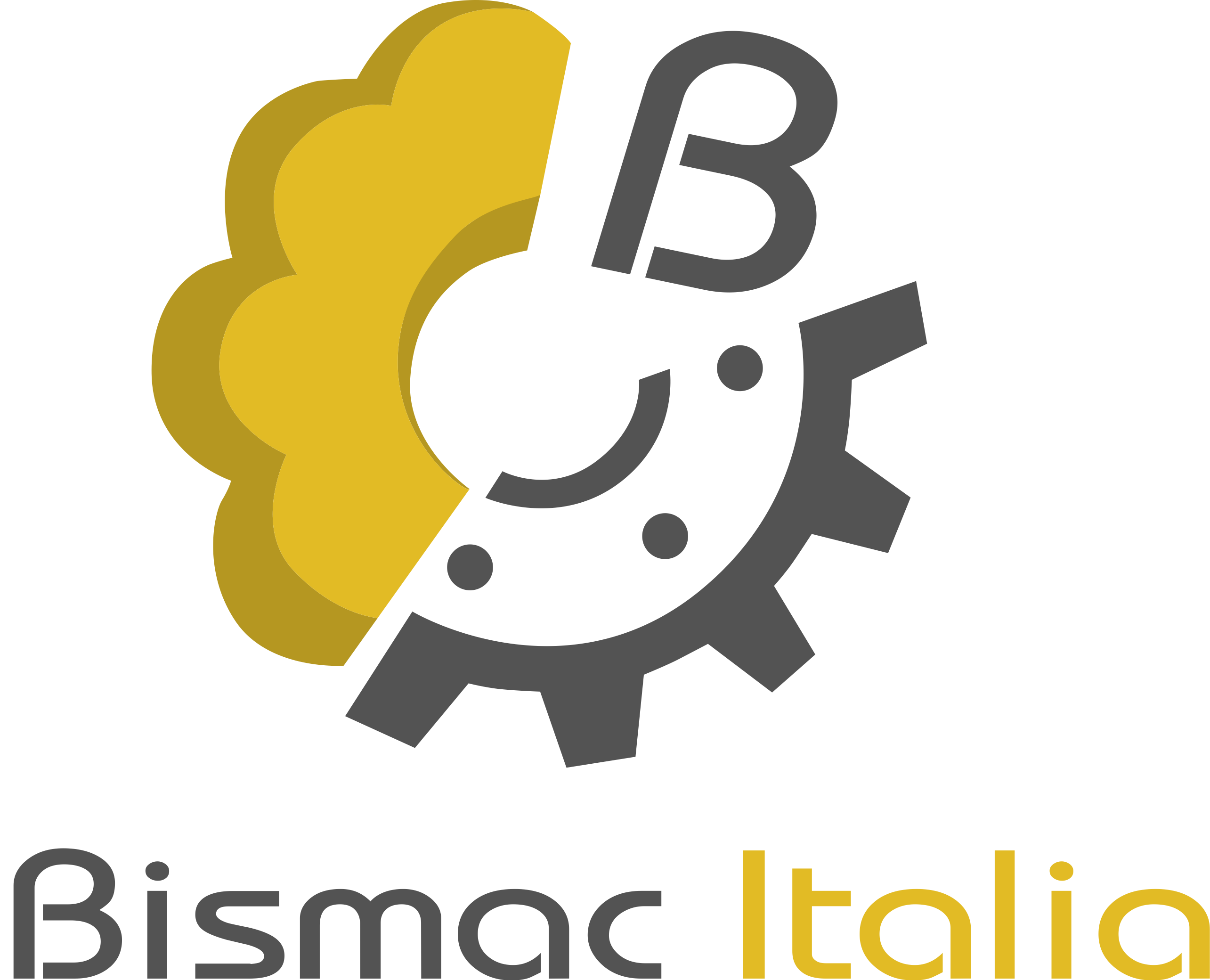 Bismac Italia